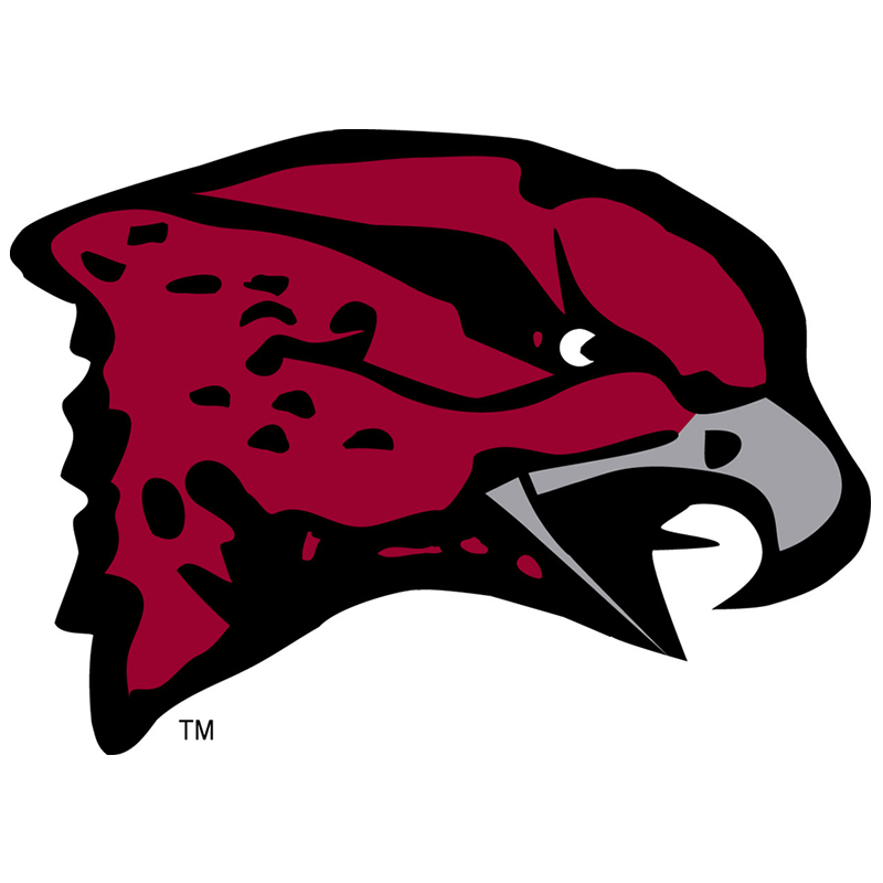 Maryland-Eastern Shore Hawks iron ons